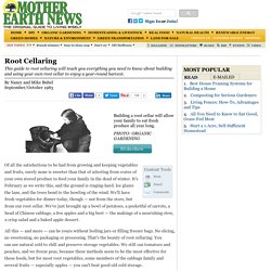 Root Cellaring - Modern Homesteading - MOTHER EARTH NEWS - Root Cellaring