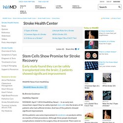 Stem Cells Show Promise for Stroke Recovery