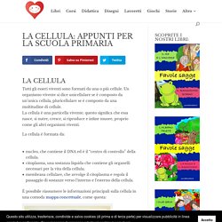 La Cellula: Riassunto e Mappa per la Scuola Primaria