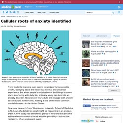 Cellular roots of anxiety identified