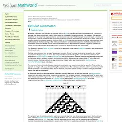 Cellular Automaton