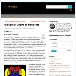 The Cellular Origins of Intelligence - h+ Mediah+ Media