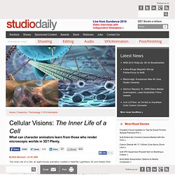Cellular Visions: The Inner Life of a Cell