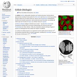 Cellule (biologie)