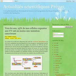 Vers 60 ans, 25% de nos cellules exposées aux UV ont au moins une mutation cancéreuse