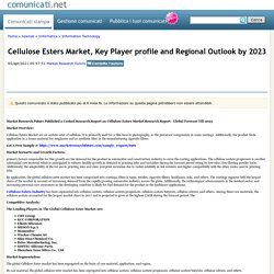 Cellulose Esters Market, Key Player profile and Regional Outlook by 2023