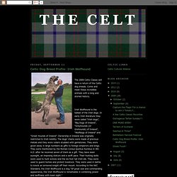 The Celt: Celtic Dog Breed Profile: Irish Wolfhound