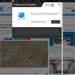 Des cendriers gratuits pour limiter les mégots sur les plages de Palavas - France 3 Languedoc-Roussillon