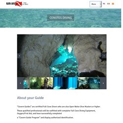 Cenote Diving in Playa del Carmen with Pluto Dive, Cavern Guides - Pluto Dive