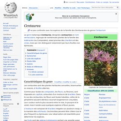 Centaurea