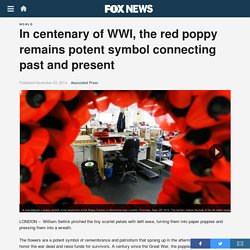 In centenary of WWI, the red poppy remains potent symbol connecting past and present