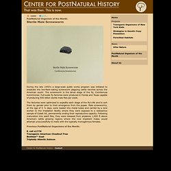 Center for PostNatural History
