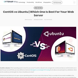 Which One Is Best For Your Web Server