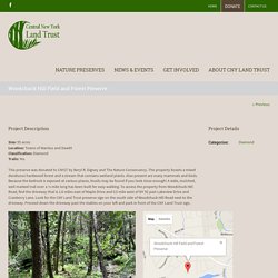 Central New York Land Trust - Woodchuck Hill Field and Forest Preserve