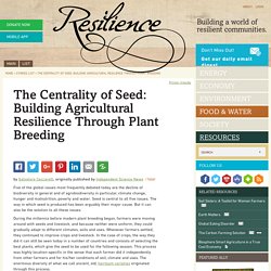 The Centrality of Seed: Building Agricultural Resilience Through Plant Breeding
