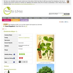 Ceratonia siliqua Carob PFAF Plant Database