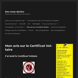 Mon avis sur le Certificat Voltaire - Des mots déclics