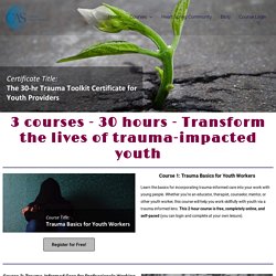 30-Hour Trauma Toolkit Certificate for Youth Providers