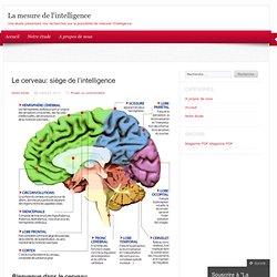 Le cerveau: siège de l’intelligence
