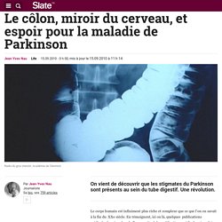 Le côlon, miroir du cerveau, et espoir pour la maladie de Parkinson
