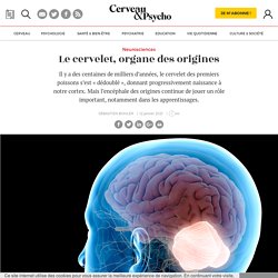 Le cervelet, organe des origines