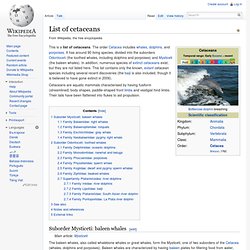 List of cetaceans