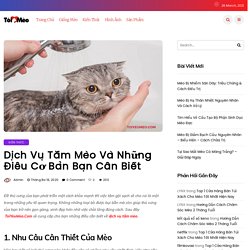 Dịch Vụ Tắm Mèo Và Những Thông Tin Các Sen Nên Biết