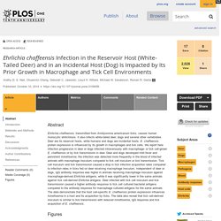PLOS 10/10/14 Ehrlichia chaffeensis Infection in the Reservoir Host (White-Tailed Deer) and in an Incidental Host (Dog) Is Impacted by Its Prior Growth in Macrophage and Tick Cell Environments