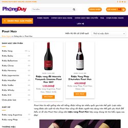 #10 Chai rượu vang Pinot Noir Cao Cấp, Giá Rẻ, Chính Hãng