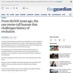 One metre-tall human challenges history of evolution