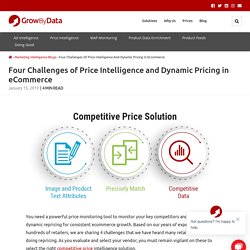 Price Intelligence and Dynamic Pricing Challenges in eCommerce