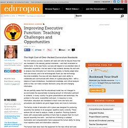 Improving Executive Function: Teaching Challenges and Opportunities