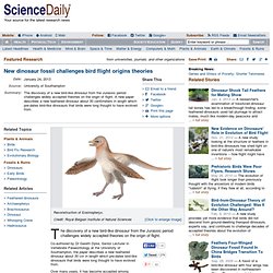 New dinosaur fossil challenges bird flight origins theories
