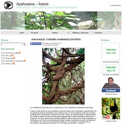 Chamanismo Ayahuasca Plantas Amazonicas Tomas