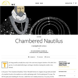 The Chambered Nautilus, Oliver Wendell Holmes Sr.