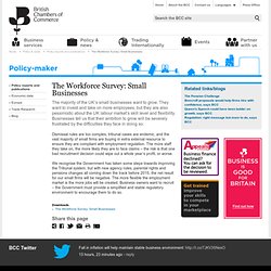 British Chambers of Commerce - The Workforce Survey: Small Businesses