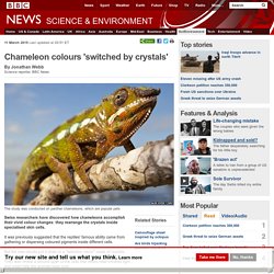 Chameleon colours 'switched by crystals'