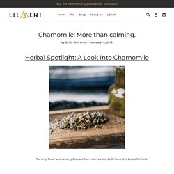 Chamomile: More than calming. – Herbal Element