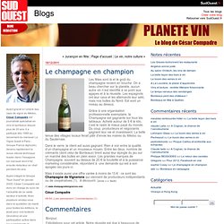 Le champagne en champion : La planète vin