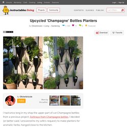 Upcycled 'Champagne' Bottles Planters : 3 Steps (with Pictures) - Instructables