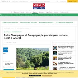 Entre Champagne et Bourgogne, le premier parc national dédié à la forêt - Sciencesetavenir.fr