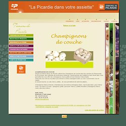 CHAMPIGNONS DE COUCHE - Terroirs de Picardie - Produits Saveurs de Picardie