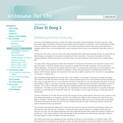 Chan Si Gong 2 - Absolute Tai Chi