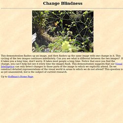 Change blindness demonstration