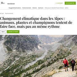 Changement climatique dans les Alpes : animaux, plantes et champignons tentent de faire face, mais pas au même rythme...