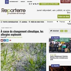 À cause du changement climatique, les allergies explosent