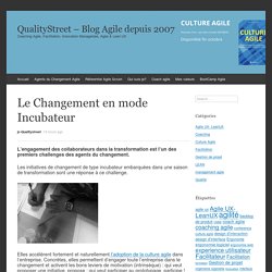 Le Changement en mode Incubateur - QualityStreet - Blog Agile depuis 2007