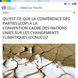Qu'est-ce que la Conférence des Parties (COP) à la Convention-cadre des Nations Unies sur les changements climatiques (CCNUCC)?