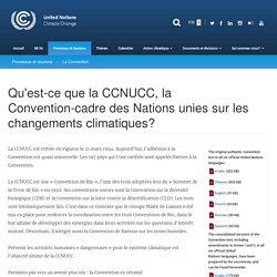 Qu'est-ce que la CCNUCC, la Convention-cadre des Nations unies sur les changements climatiques?