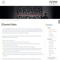Channel Sales Data Management System - Channel Sales Operations